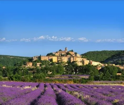 La Villa Tria Castella Saint-Paul-Trois-Châteaux Apartment